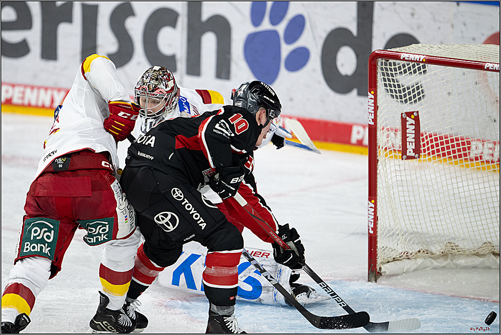 PENNY DEL 1; Kölner Haie - Düsseldorfer EG ; Köln, 16.02.2025